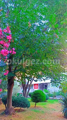 Altunizade Sevinç Kurs Merkezi