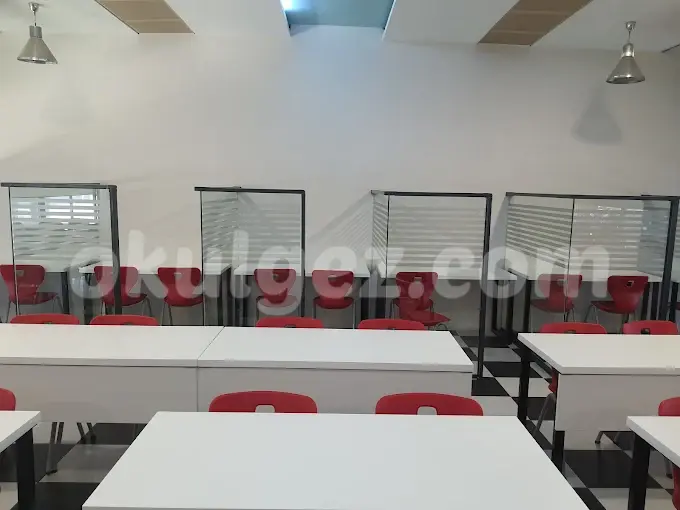 Altunizade VİP Fen Bilimleri