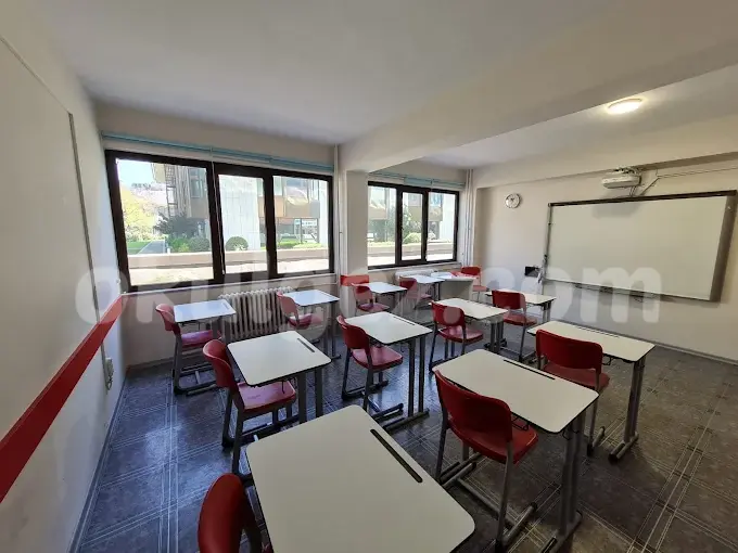 Altunizade VİP Fen Bilimleri