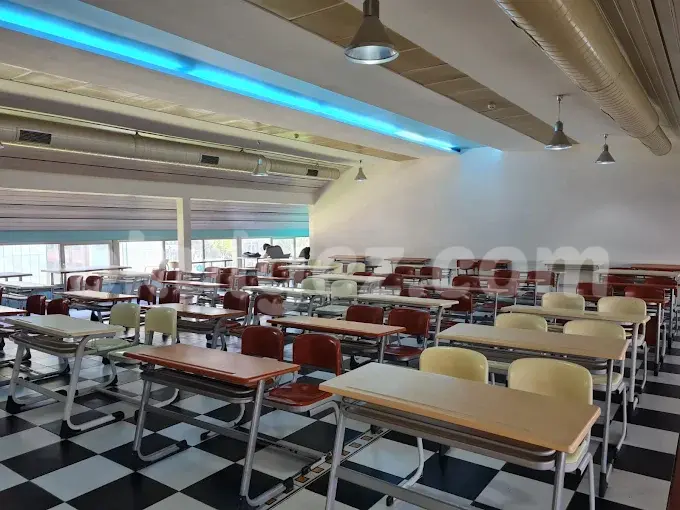 Altunizade VİP Fen Bilimleri