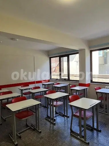 Altunizade VİP Fen Bilimleri