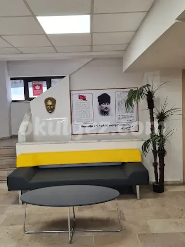 Altunizade VİP Fen Bilimleri