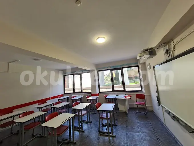 Altunizade VİP Fen Bilimleri