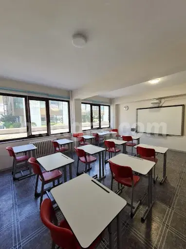 Altunizade VİP Fen Bilimleri