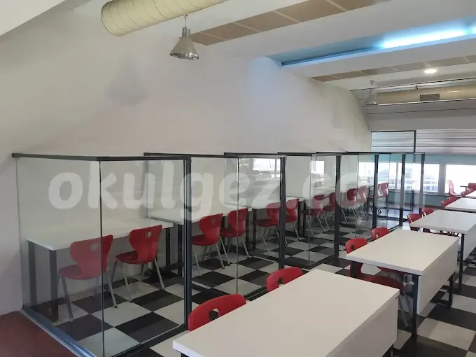 Altunizade VİP Fen Bilimleri