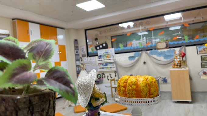 Özel 5 Renk Anaokulu