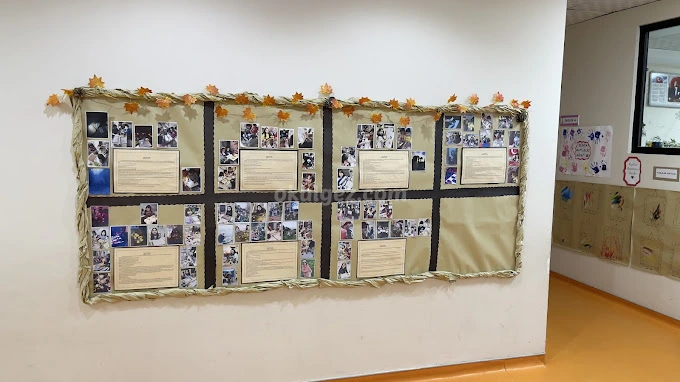 Özel 5 Renk Anaokulu