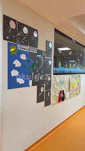 Özel 5 Renk Anaokulu