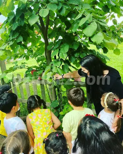 Özel Abaküs Anaokulu