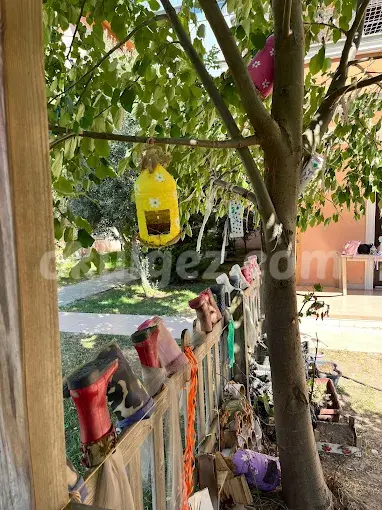 Özel Abaküs Anaokulu