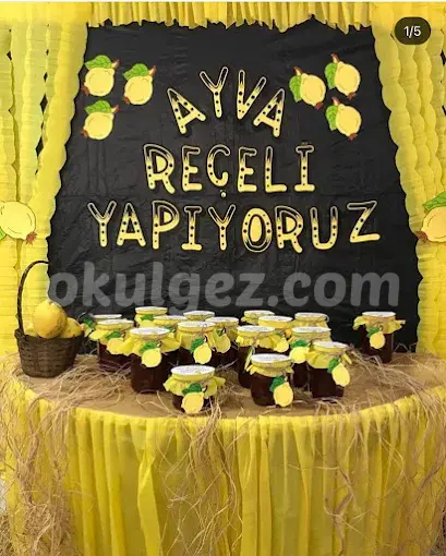 Özel Ağaçalti Anaokuluu