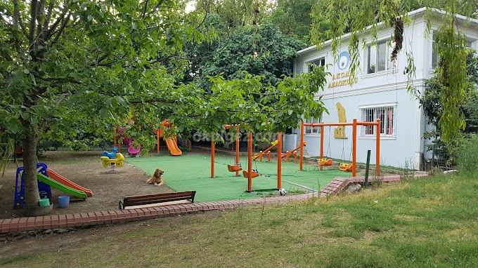 Özel Akcan Anaokulu