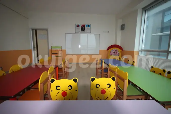 Özel Akil Okulları Anaokulu