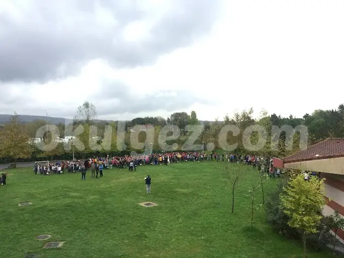 Özel Alev Okulları Anaokulu