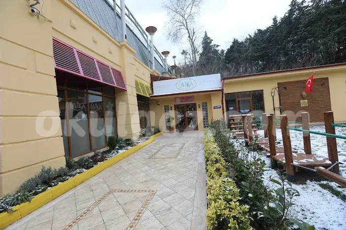 Özel Alkent 2000 American International Kids Academy Anaokulu