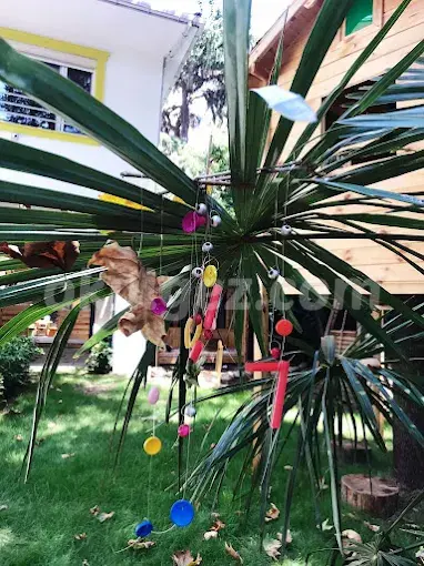 Özel Altın Çağ Anaokulu