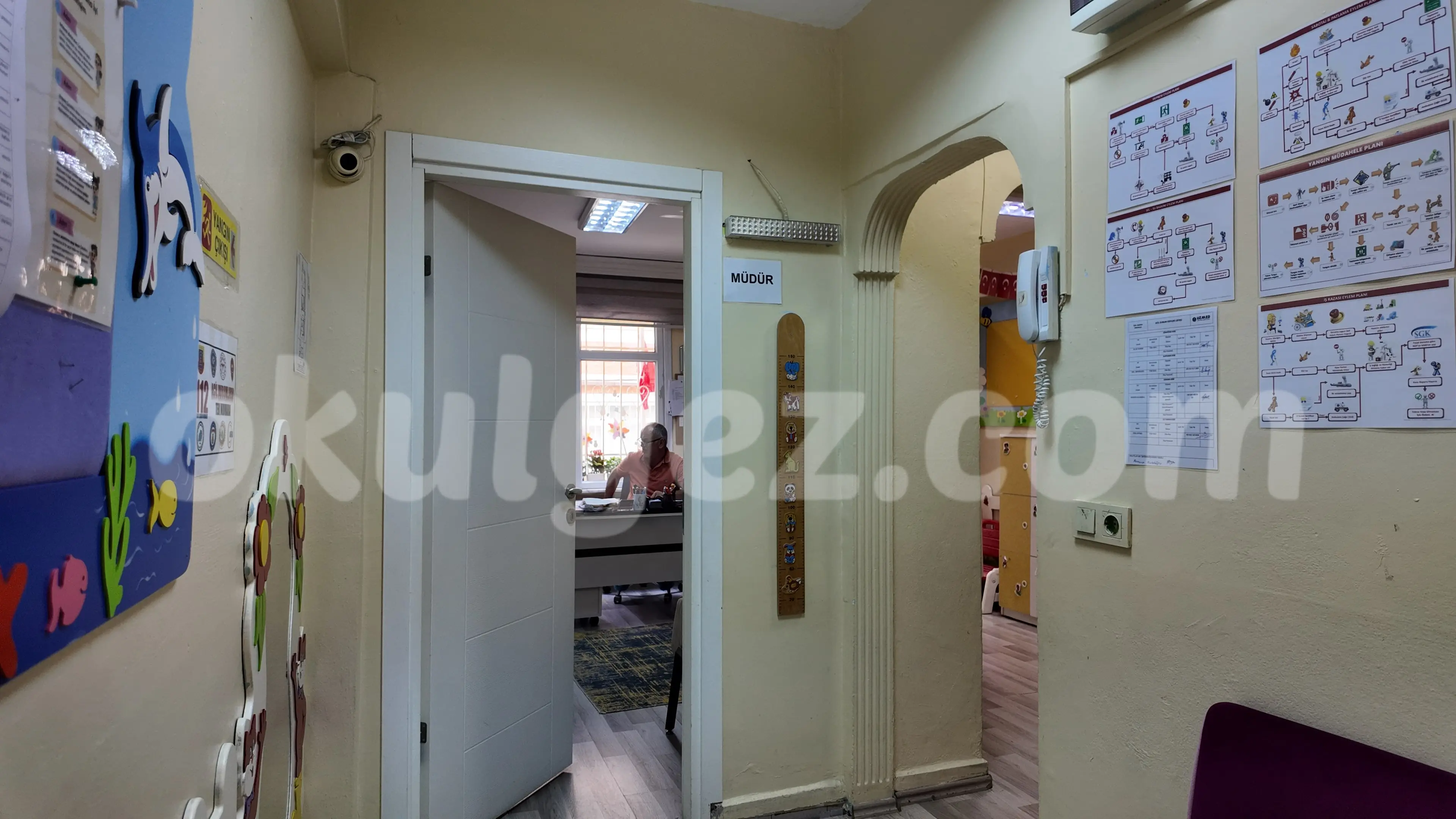 Özel Ananas Anaokulu