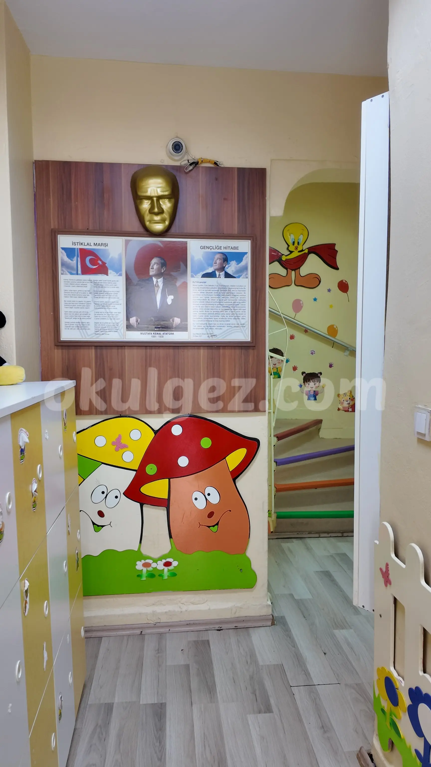 Özel Ananas Anaokulu