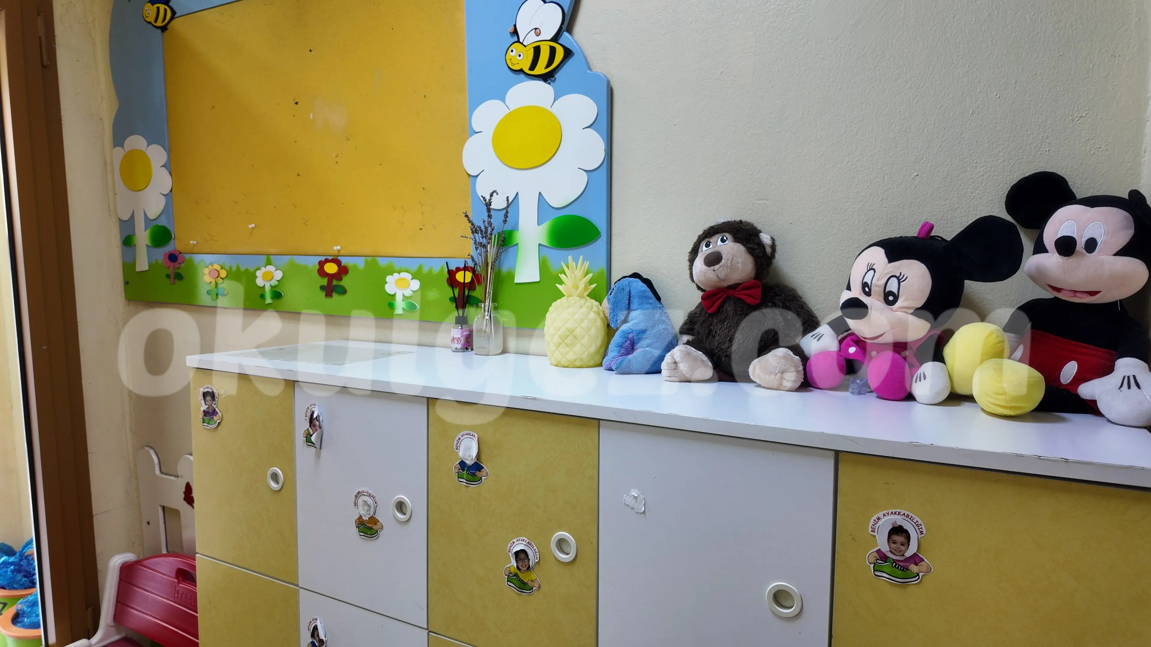 Özel Ananas Anaokulu