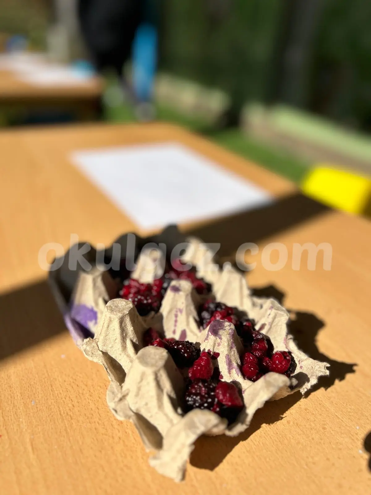 Özel Anka Akademisi Anaokulu Atakent Halkalı