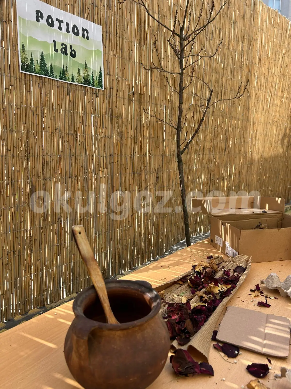 Özel Anka Akademisi Anaokulu Atakent Halkalı