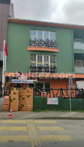 Özel Ataşehir Altın Lotus Anaokulu