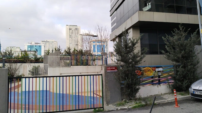 Özel Ataşehir Bilgi Koleji Anaokulu