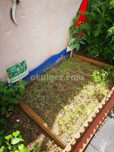 Özel Ataşehir Renkli Yetenek Anaokulu