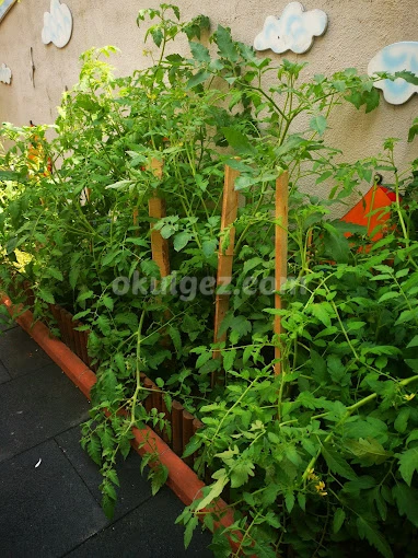 Özel Ataşehir Renkli Yetenek Anaokulu