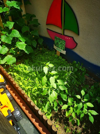 Özel Ataşehir Renkli Yetenek Anaokulu