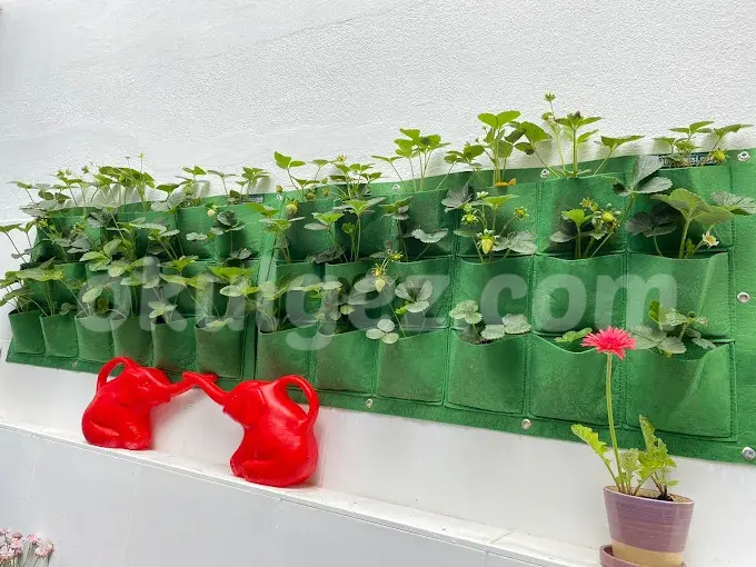 Özel Atlantis Anaokulu