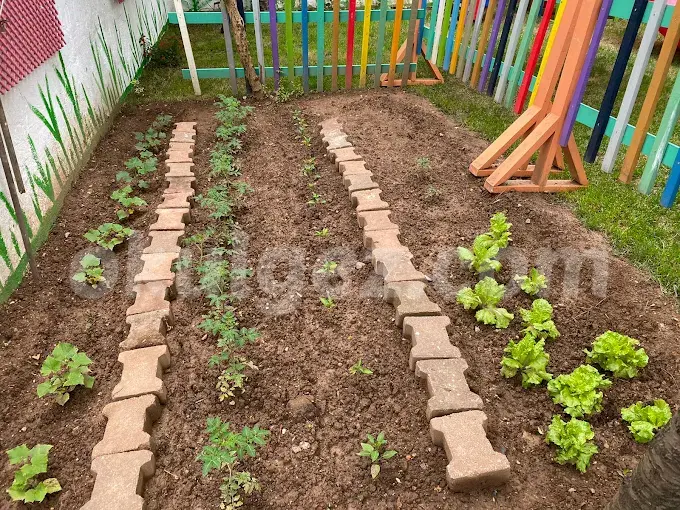 Özel Atlantis Anaokulu