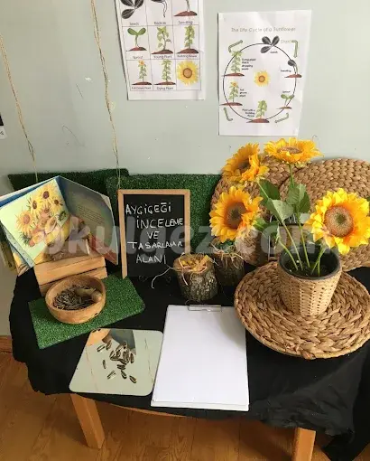 Özel Atölye Flora Gündüz Bakımevi