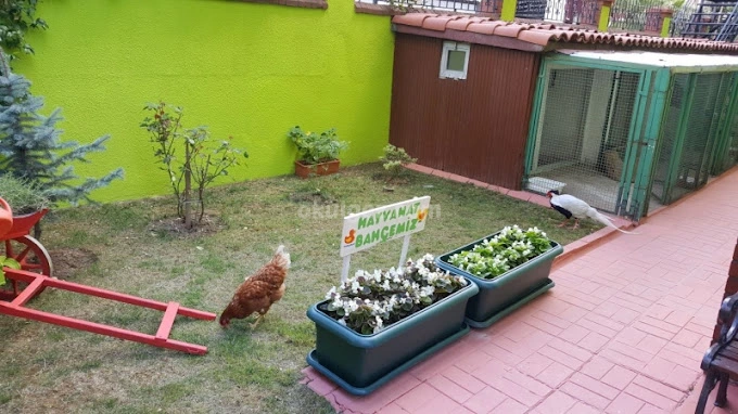 Özel Atölye Kuşağı Anaokulu