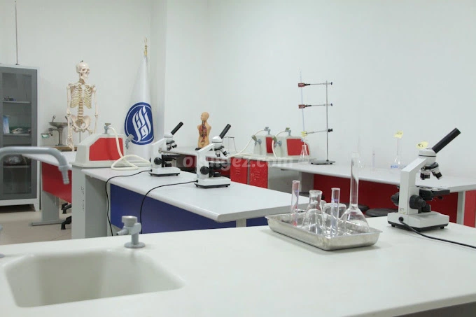 Özel Awael Koleji Anaokulu