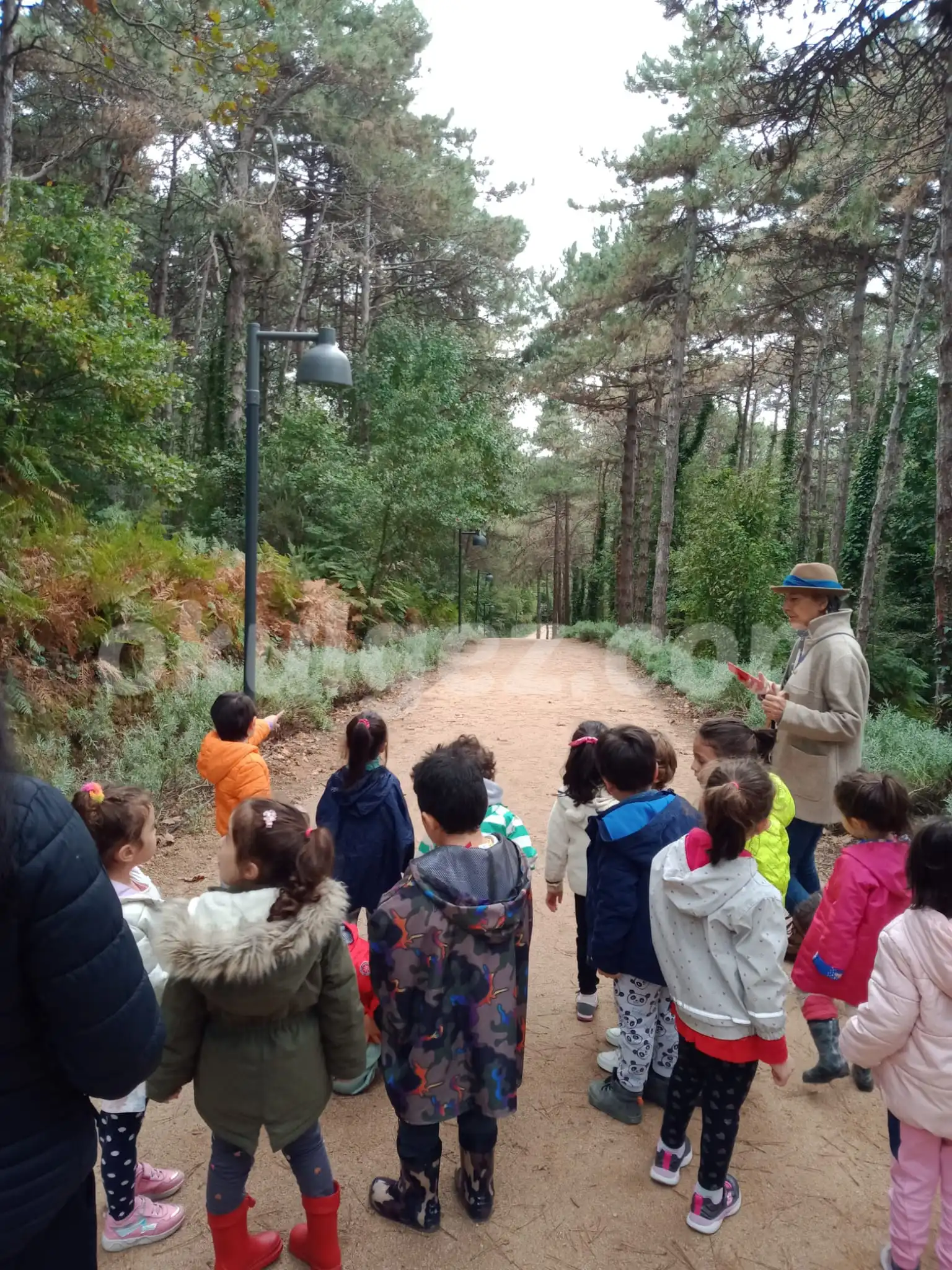 Özel Ayşe Ozan Anaokulu