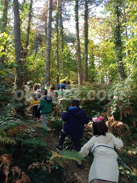 Özel Ayşe Ozan Anaokulu