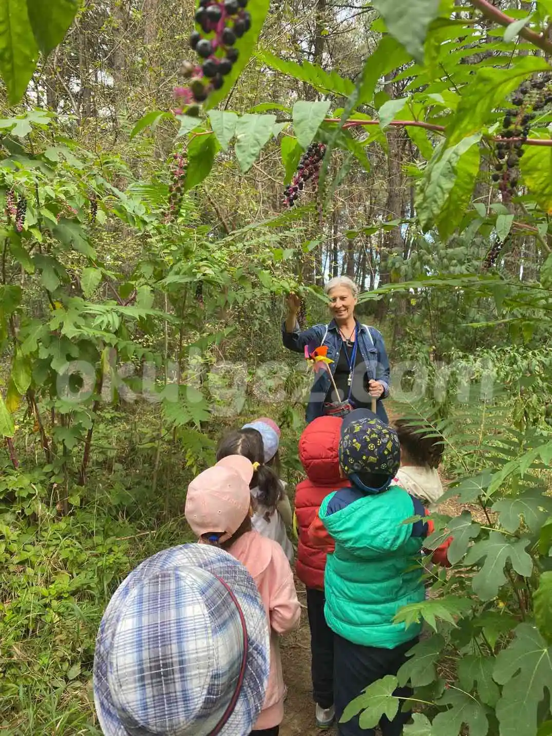 Özel Ayşe Ozan Anaokulu