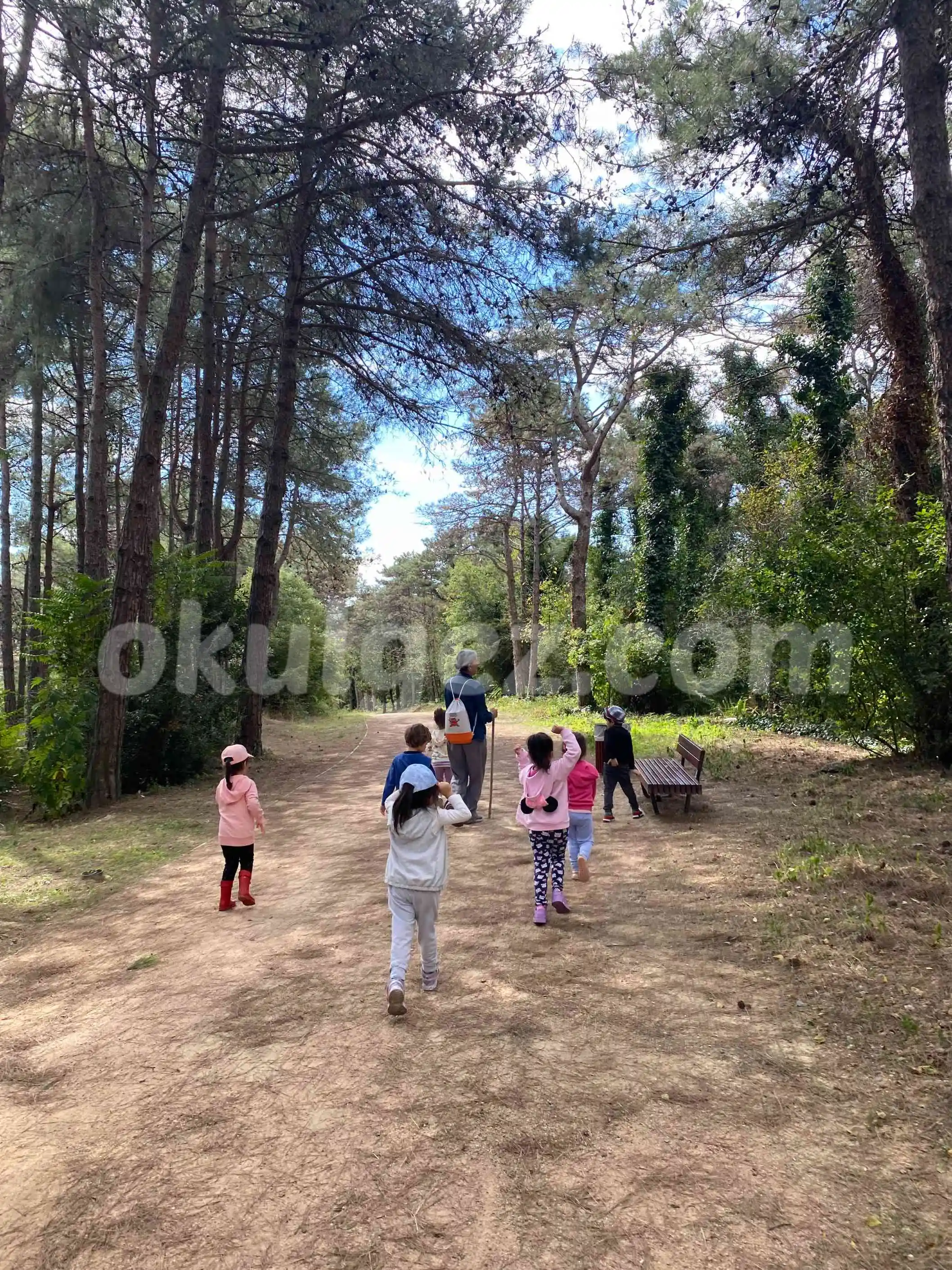 Özel Ayşe Ozan Anaokulu