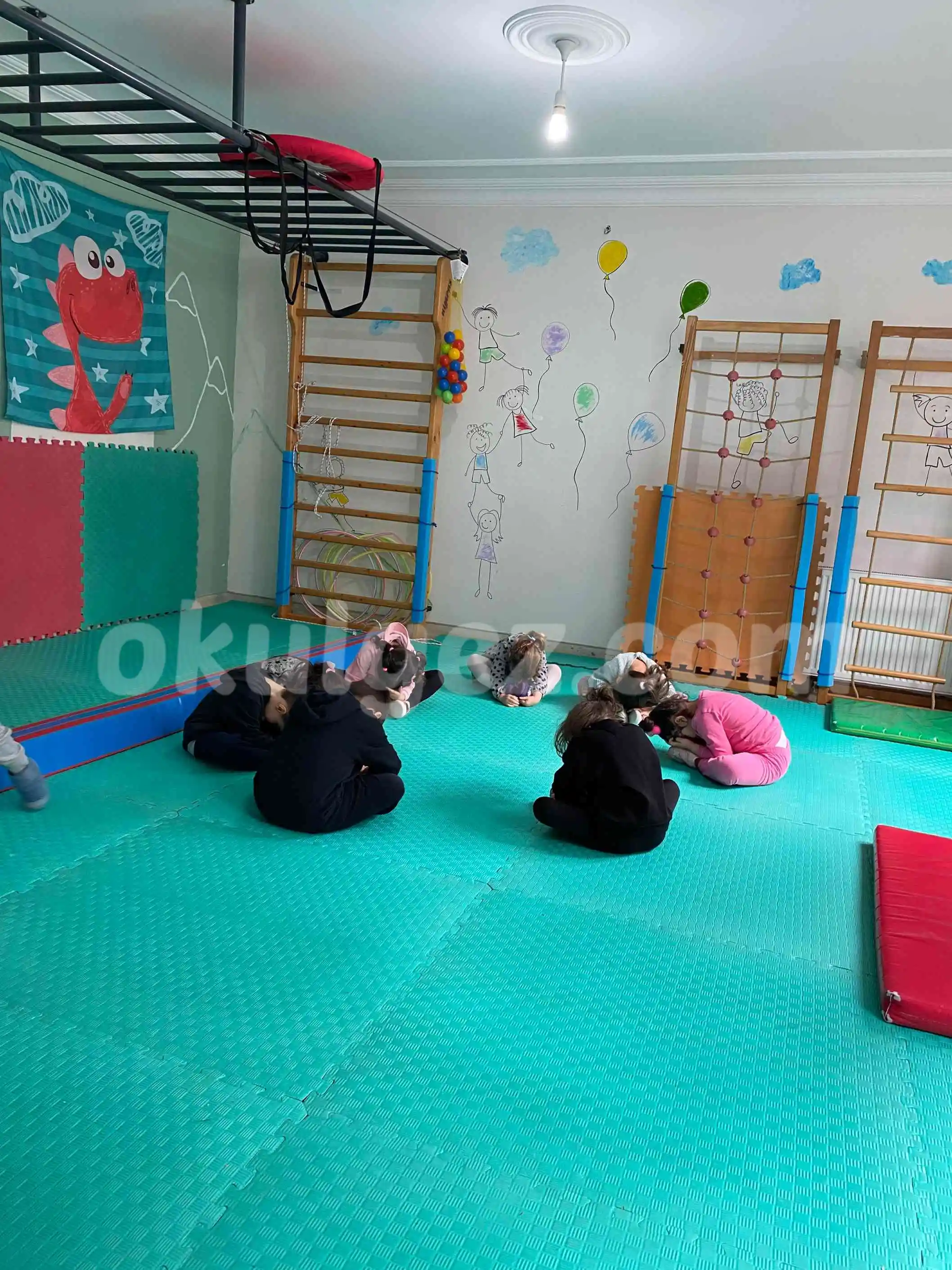 Özel Ayşe Ozan Anaokulu