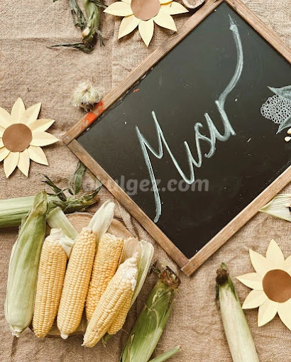 Özel Bağcılar Satranç Anaokulu