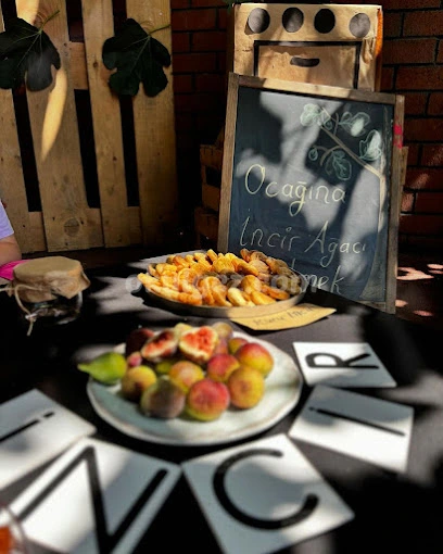 Özel Bağcılar Satranç Anaokulu