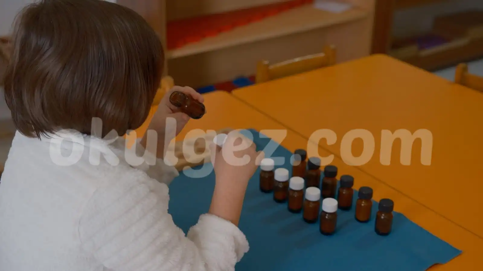 Özel Bahariye Montessori Anaokulu