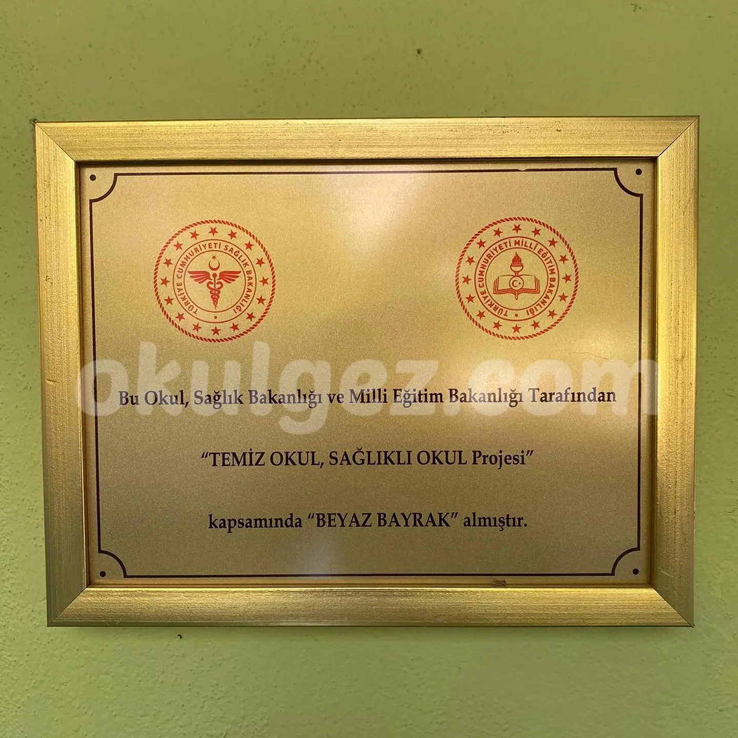 Özel Bahçelievler Artı Bilim Çocuk Anaokulu