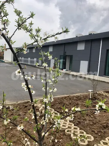 Özel Bahçeşehir Koleji Ömerli Anaokulu