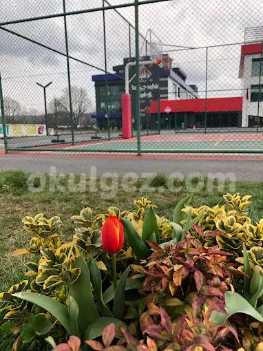 Özel Bahçeşehir Koleji Ömerli Anaokulu