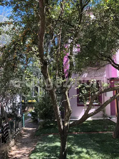 Özel Bahçeşehir Neslin Değişen Sesi Okulları Anaokulu