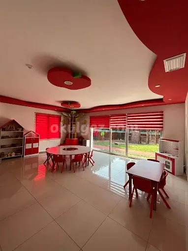 Özel Bahçeşehir TAC Koleji Anaokulu