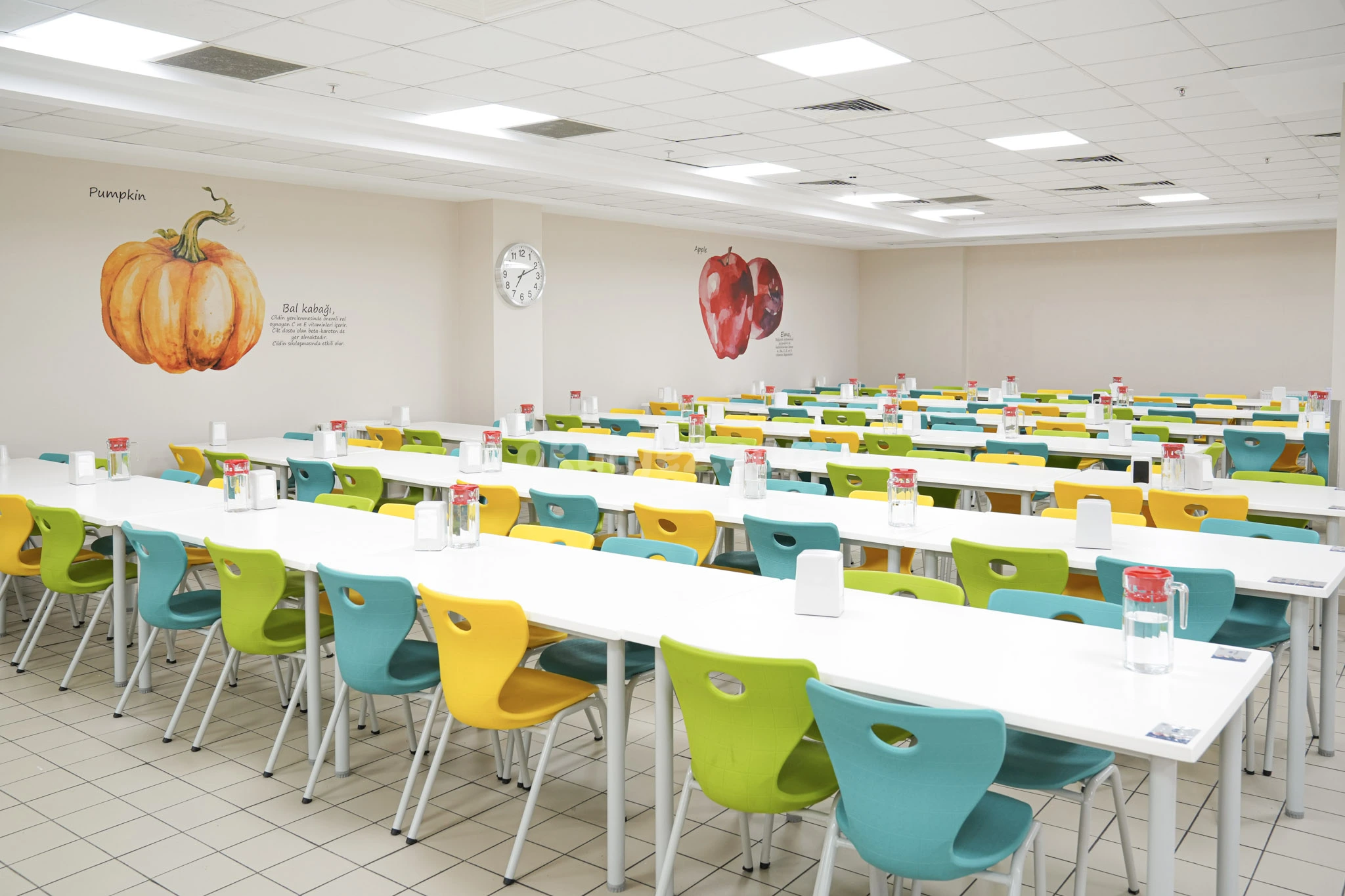 Özel Bahçeşehir Vizyon Koleji Anaokulu