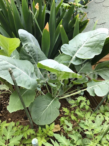 Özel Bakırköy Oya Anaokulu